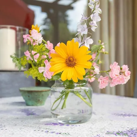 Domizil Am Park Sanssouci Holiday home *