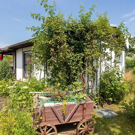 Holiday home Domizil Am Park Sanssouci *