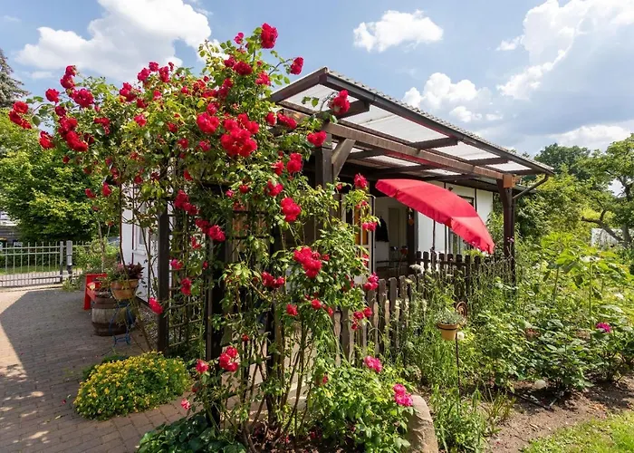 Domizil Am Park Sanssouci Potsdam