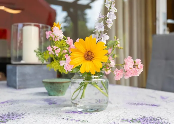 Domizil Am Park Sanssouci Semesterbostad *